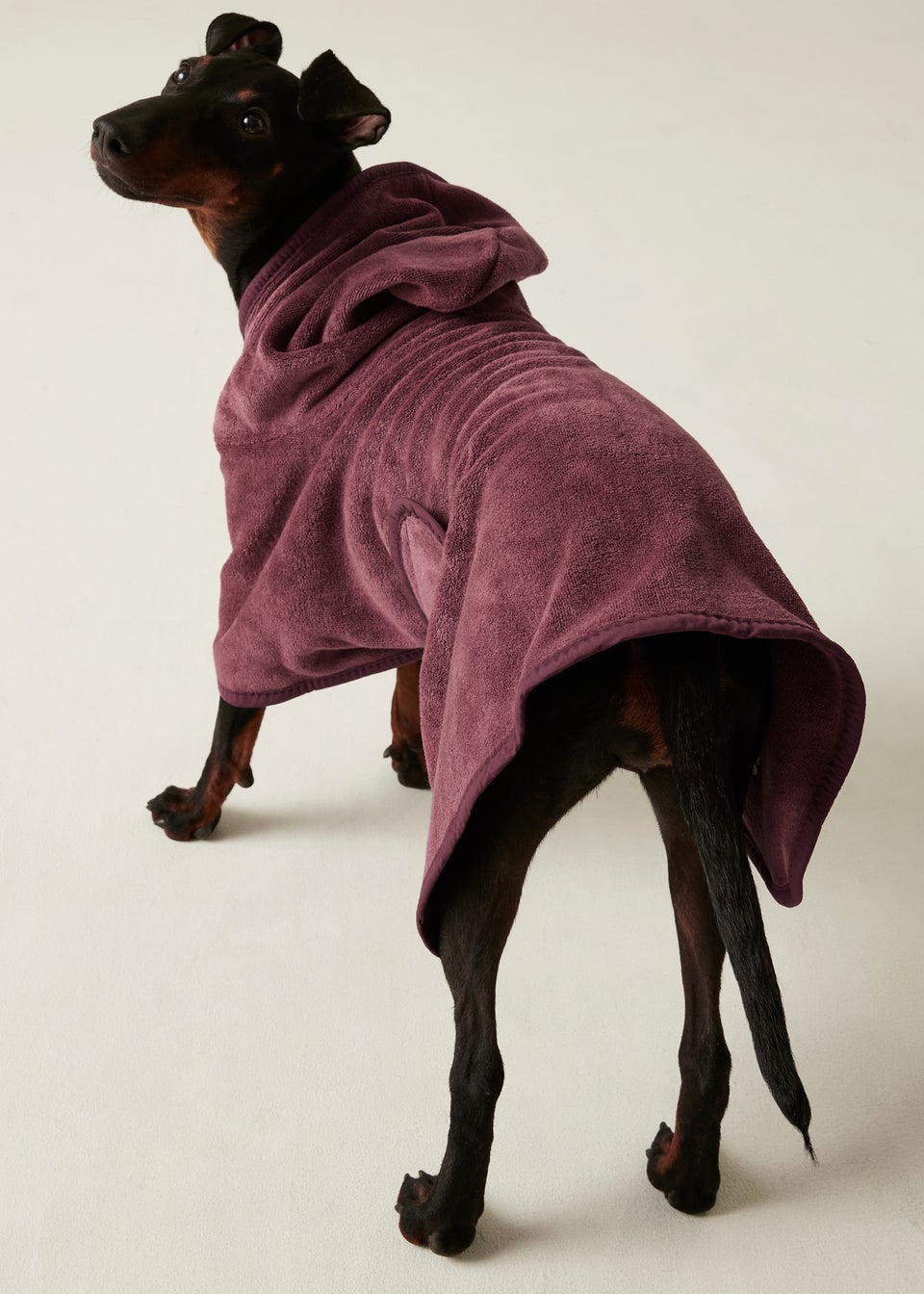 Regatta Brick Pet's Quick Dry Dog Coat