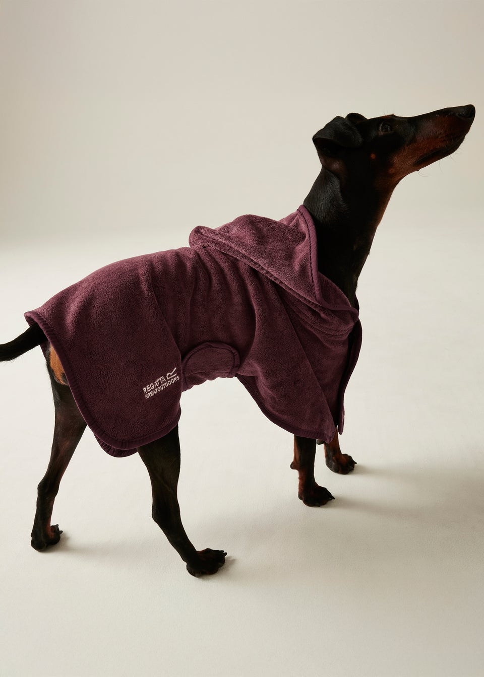 Regatta Brick Pet's Quick Dry Dog Coat