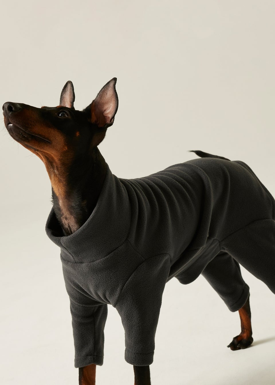 Regatta Slate Pet's Dog Mud Suit