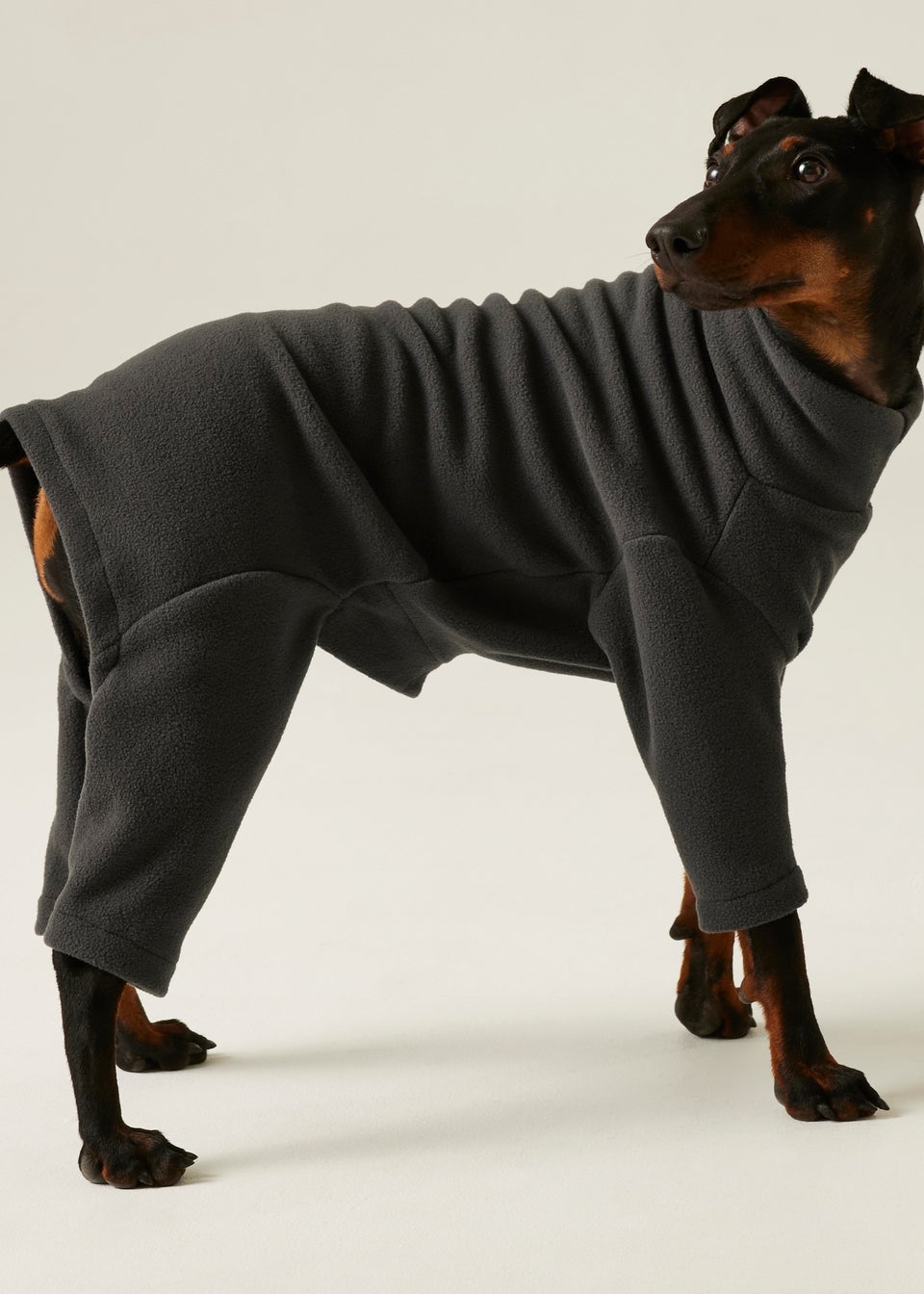 Regatta Slate Pet's Dog Mud Suit