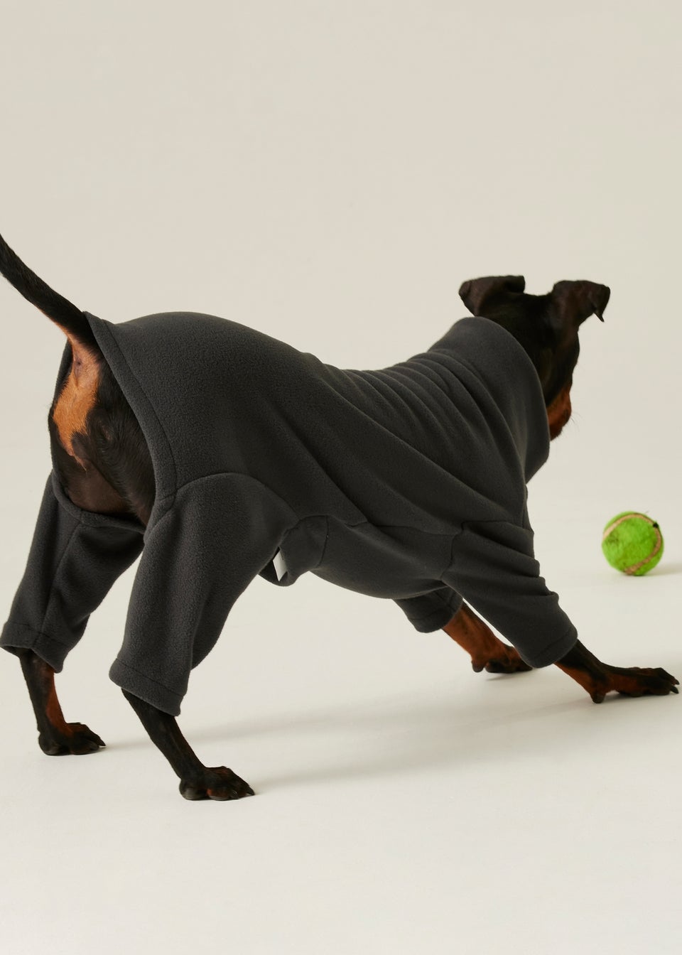 Regatta Slate Pet's Dog Mud Suit
