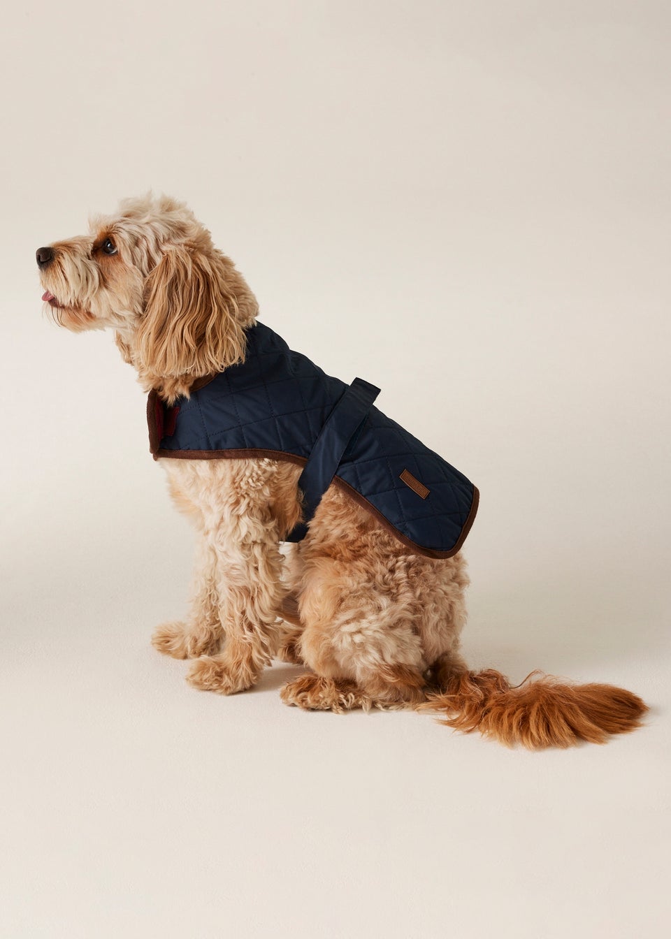 Regatta Ink Pet's Odie Waterproof Dog Coat
