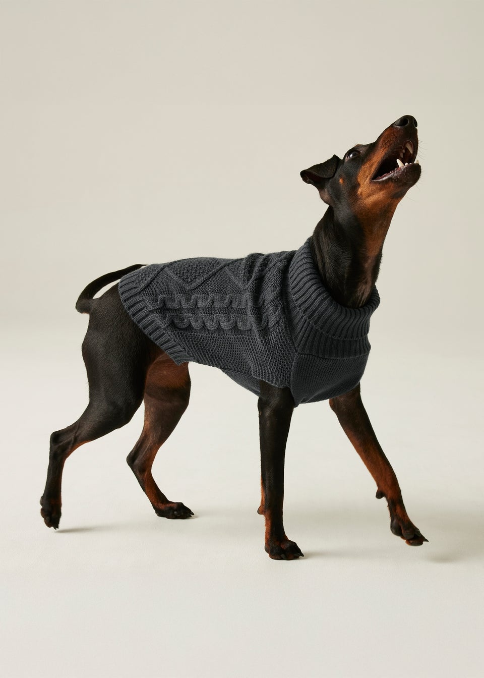 Regatta Black Pet's Durable Dog Jumper