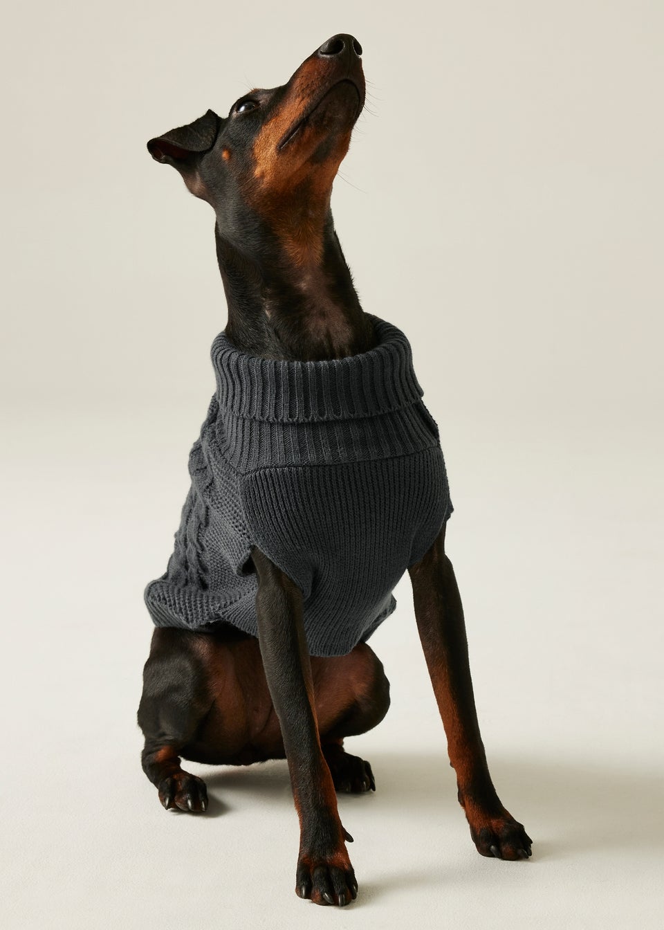 Regatta Black Pet's Durable Dog Jumper