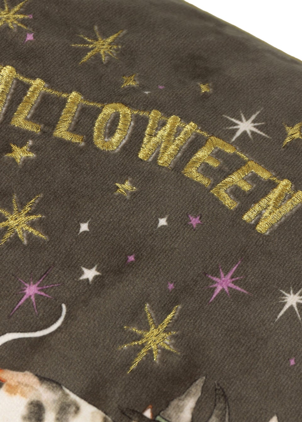 Furn Halloween Pawty Embroidered Velvet Multi Cushion