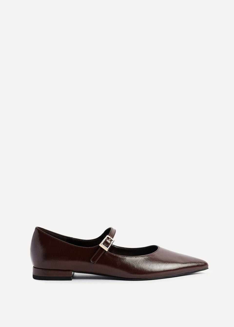 Linzi Seattle Brown Faux Leather Pointed Toe Mary Jane Flats