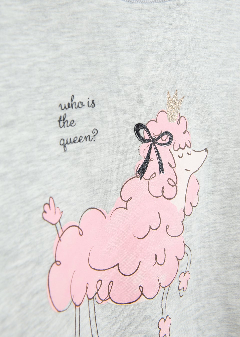 Cool Club Grey Cosy Poodle Print Sweatshirt (3-8 yrs)