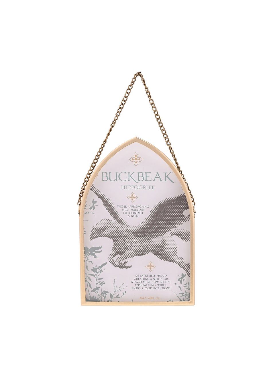 Harry Potter Warner Bros Herbology Gold Arch Plaque Buckbeak
