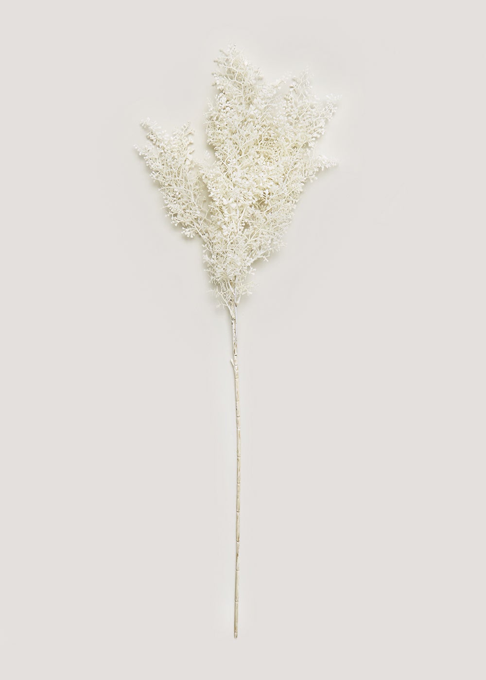 Single Rascus White Ruscus Single Stem (70cm) | Matalan