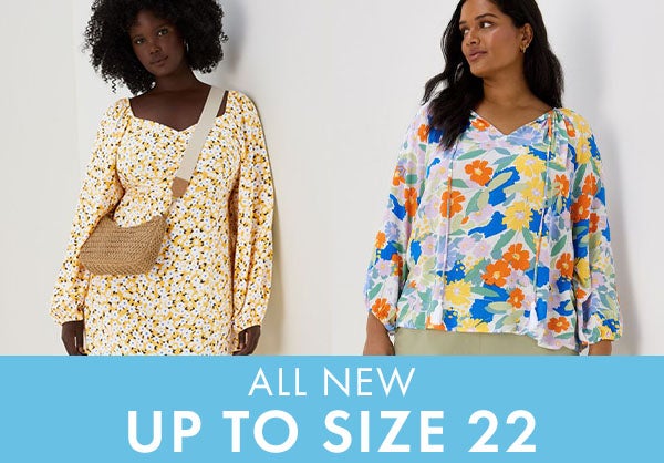 All New Up To Size 22