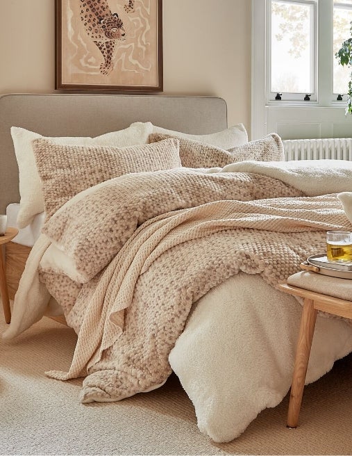 Hello, Cosy