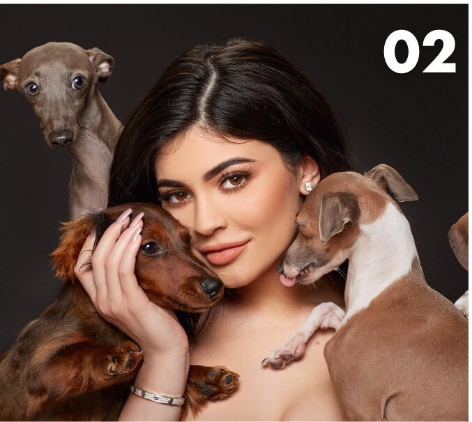 Kylie Jenner’s Dogs - 206,520 Searches