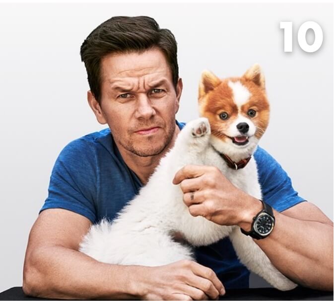 Mark Wahlberg’s Dog -  82,800 followers