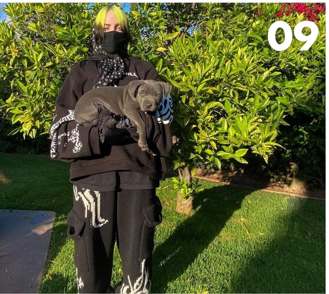 Billie Eilish’s Dog - 40,080 Searches