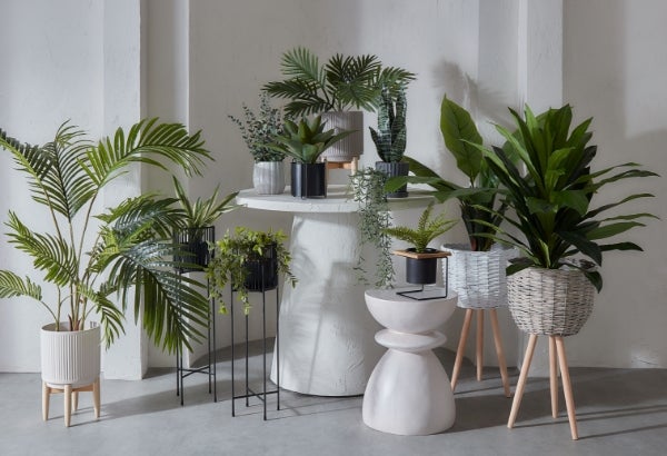 Create a green oasis with plants & planters